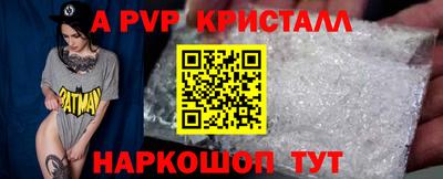 гидра Кингисепп