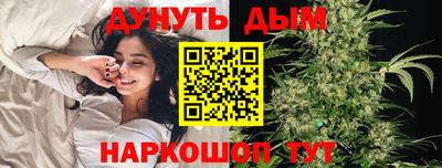 гидра Кингисепп
