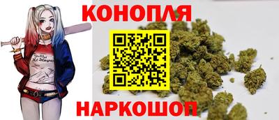 тгк Кимры