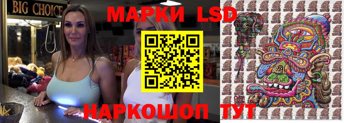 Бошки Шишки Коряжма