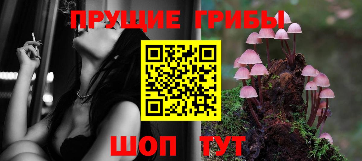 Псилоцибиновые грибы Psilocybine cubensis Коряжма