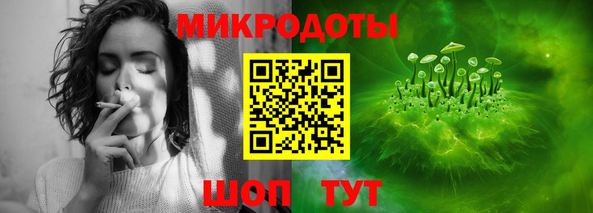 Коряжма  Галлюциногенные грибы прущие грибы  Вход с VPN  Галлюциногенные грибы Psilocybine cubensis 